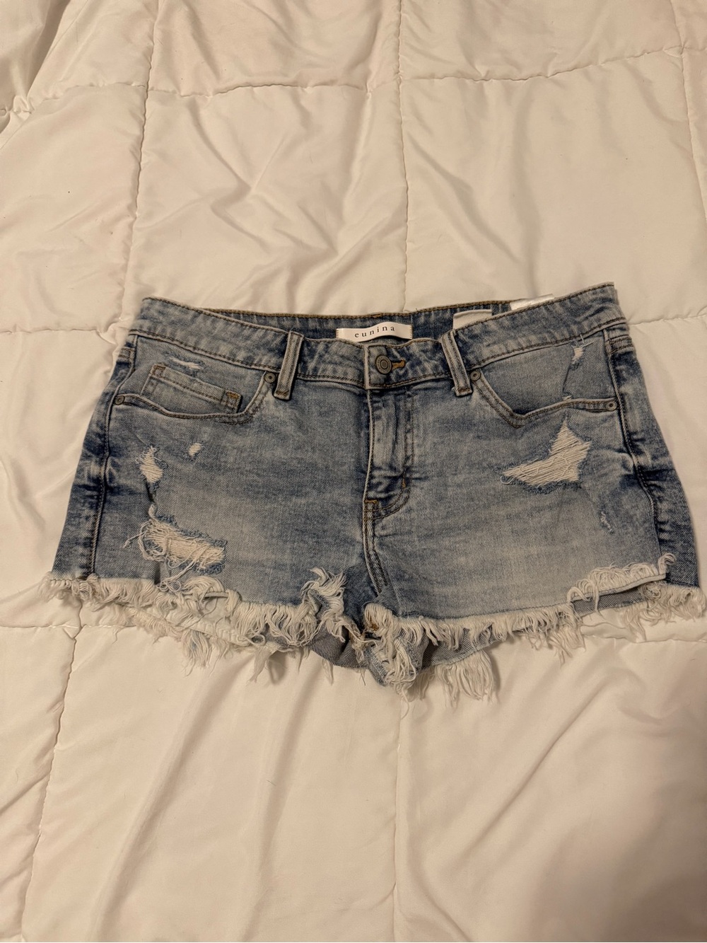 Eunina Light Blue Distressed Frayed Denim Shorts